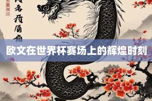 欧文在世界杯赛场上的辉煌时刻