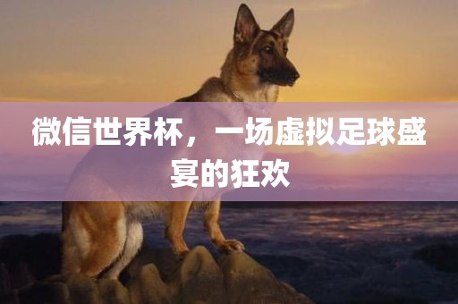 微信世界杯，一场虚拟足球盛宴的狂欢