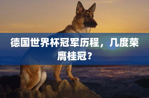 德国世界杯冠军历程，几度荣膺桂冠？常熟市高丰毛纺织品有限公司
