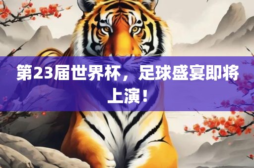 第23届世界杯，足球盛宴即将上演！常熟市高丰毛纺织品有限公司