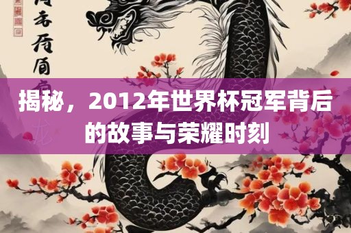 揭秘，2012年世界杯冠军背后的故事与荣耀时刻
