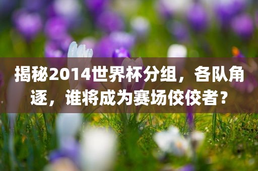 揭秘2014世界杯分组，各队角逐，谁将成为赛场佼佼者？