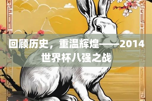 回顾历史，重温辉煌——2014世界杯八强之战