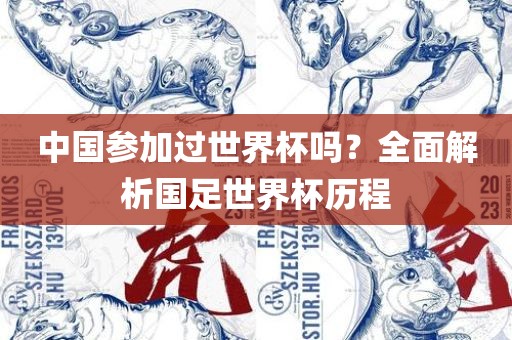 中国参加过世界杯吗？全面解析国足世界杯历程常熟市高丰毛纺织品有限公司