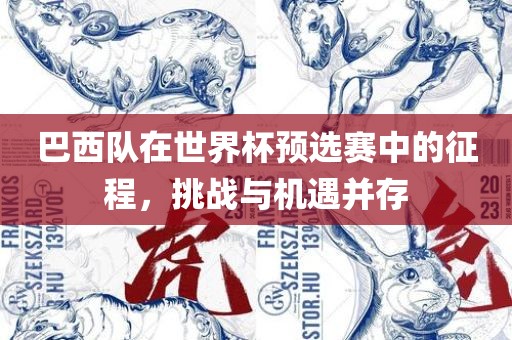 巴西队在世界杯预选赛中的征程，挑战与机遇常熟市高丰毛纺织品有限公司并存