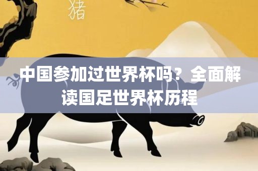 中国参加过世界杯吗？全面解读国足世界杯历程常熟市高丰毛纺织品有限公司