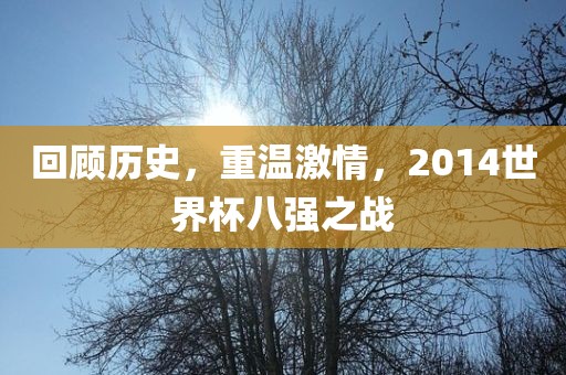 回顾历史，重温激情，2014世界杯八强之战常熟市高丰毛纺织品有限公司