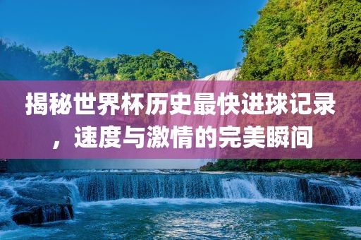 揭秘世界杯历史最快进球记录，速度与激情的完美瞬间常熟市高丰毛纺织品有限公司