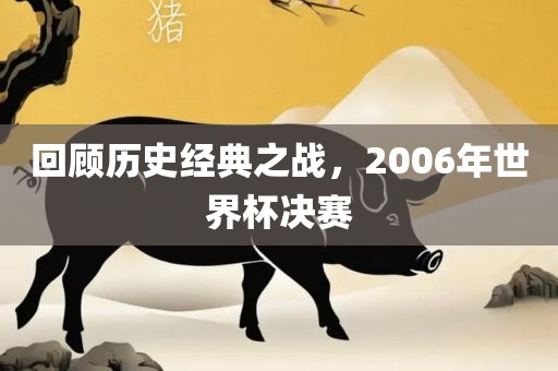 回顾历史经典之战常熟市高丰毛纺织品有限公司，2006年世界杯决赛