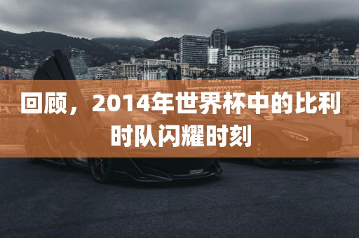 回顾，2014年世界杯中的比常熟市高丰毛纺织品有限公司利时队闪耀时刻