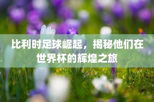 比利时足球崛起，揭秘他们在世界杯的辉煌之旅