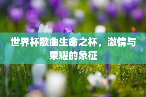 世界杯歌曲生命之杯，激情与荣耀的象征
