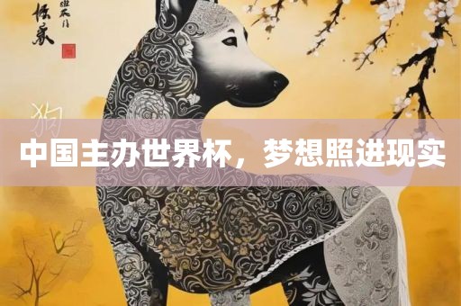 中国主办世界杯，梦想照进现实