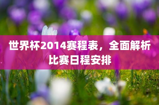 世界杯2014赛程表，全面解析比赛日程安排常熟市高丰毛纺织品有限公司