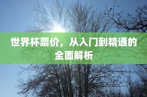世界杯票价，从入门到精通的全面解析