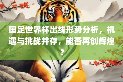 国足世界杯出线形势分析，机遇与挑战并存，能否再创辉煌？