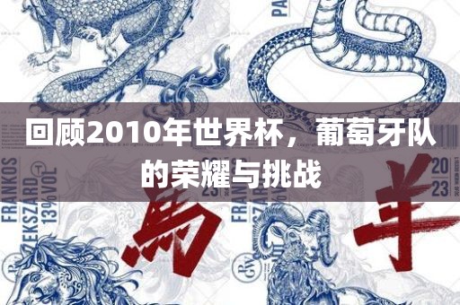 回顾2010年世界杯常熟市高丰毛纺织品有限公司，葡萄牙队的荣耀与挑战