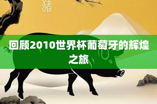 回顾2010世界杯葡萄牙的辉煌之旅