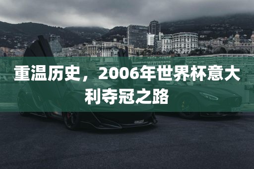 重温历史，2006年世界杯意大利夺冠之路常熟市高丰毛纺织品有限公司
