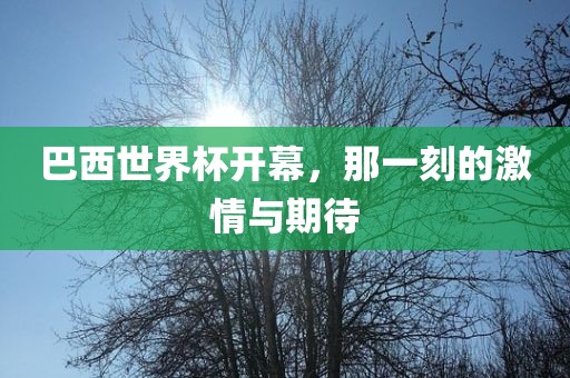 巴西世界杯开幕，那一刻的激情与期待