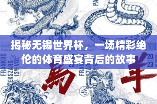 揭秘无锡世界杯，一场精彩绝伦的体育盛宴背后的故事