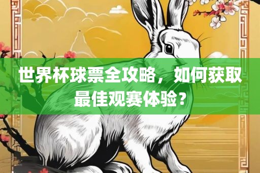 世界杯球票全攻略，如何获取最佳观赛体验？常熟市高丰毛纺织品有限公司