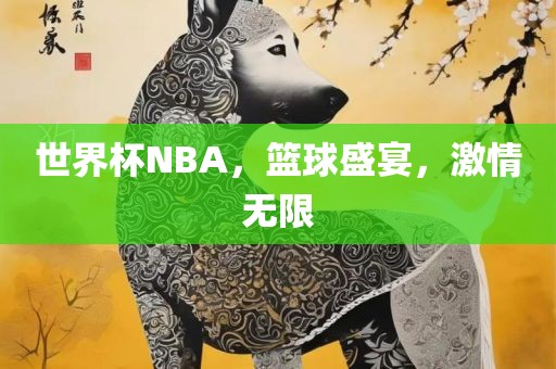 世界杯NBA，篮球盛宴，激情无限