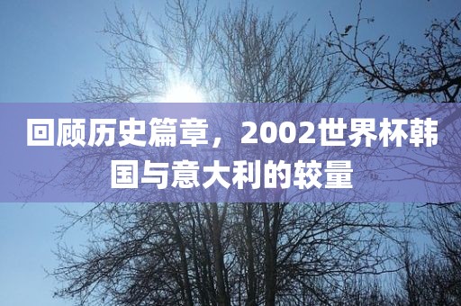 回顾历史篇章，2002世界杯韩国与意大利的较量
