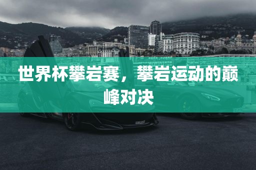 世界杯攀岩常熟市高丰毛纺织品有限公司赛，攀岩运动的巅峰对决