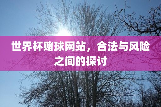 世界杯赌球网站，合法与风险之间的探讨常熟市高丰毛纺织品有限公司