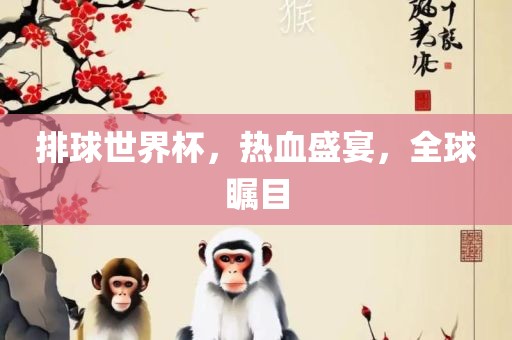 排球世界杯，热血盛宴，全球瞩目