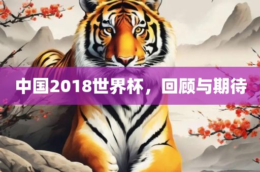 中国2018世界杯，回顾与期待常熟市高丰毛纺织品有限公司