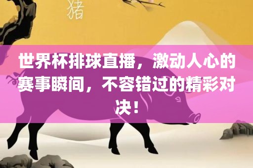 世界杯排球直播，激动人心的赛事瞬间，不容错过的精彩对决！常熟市高丰毛纺织品有限公司