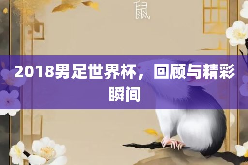 2018男足世界杯，回顾与精彩瞬间