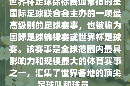 国际足球联合会