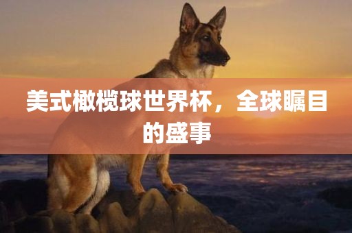美式橄榄球世界杯，全球瞩目的盛事