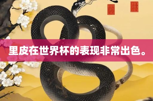 里皮在世界杯的表现非常出色。常熟市高丰毛纺织品有限公司