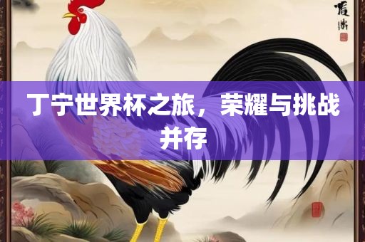 丁宁世界杯之旅，荣耀与挑战并存常熟市高丰毛纺织品有限公司