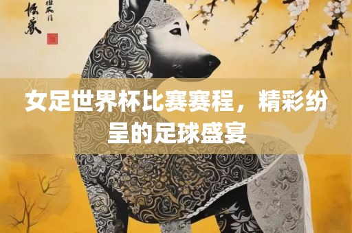 女足世界杯比赛赛程，精彩纷呈的足球盛宴常熟市高丰毛纺织品有限公司