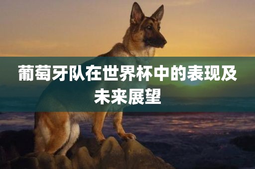葡萄牙队在世界杯中的表现及未来展望