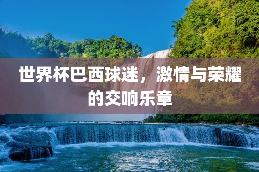 世界杯巴西球迷，激情与荣耀的交响乐章常熟市高丰毛纺织品有限公司