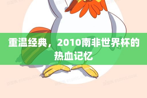 重温经典，2010南非世界杯的热血记忆常熟市高丰毛纺织品有限公司