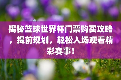 揭秘篮球世界杯门票购买攻略，提前规划，轻松入场观看精彩赛事！常熟市高丰毛纺织品有限公司