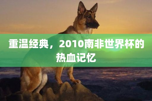 重温经典，2010南非世界杯的热血记忆常熟市高丰毛纺织品有限公司