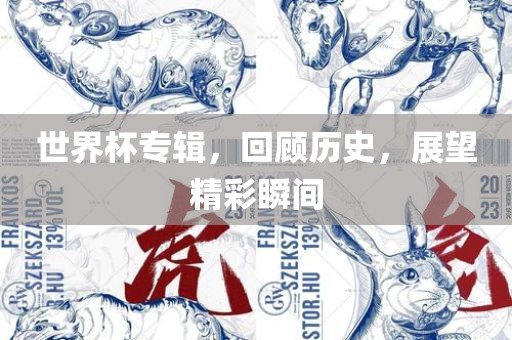 世界杯专辑，回顾历史，展望精彩瞬间常熟市高丰毛纺织品有限公司