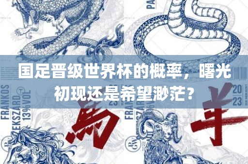 国足晋级世界杯的概率，曙光初现还是希望渺茫？常熟市高丰毛纺织品有限公司