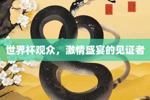 世界杯观众，激情盛宴的见证者
