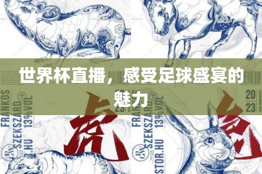 世界杯直播，感受足球盛宴的魅力常熟市高丰毛纺织品有限公司