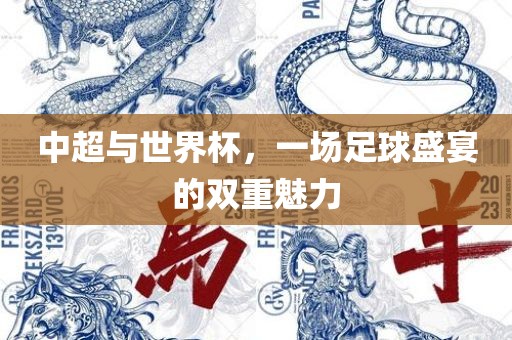 中超与世界杯，一场足球盛宴的双重魅力常熟市高丰毛纺织品有限公司