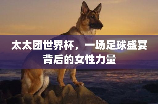 太太团世界杯，一场足球盛宴背后的女性力量常熟市高丰毛纺织品有限公司